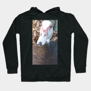 Duck Hoodie